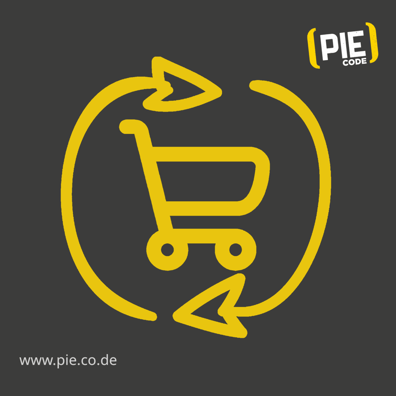 Woo-commerce discount plugin issue